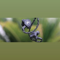 Bellos Audio X2 variant 4