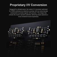 Topping DX9 Discrete variant 6