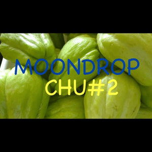 Thumbnail of the video review https://www.youtube.com/watch?v=rudY40t15XE