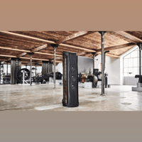 Sonus Faber AIDA variant 9